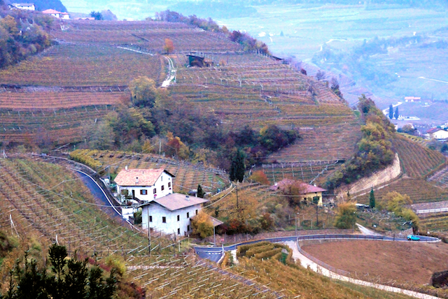 Trentino video 051 Cembra Valley and its terraced vineyards