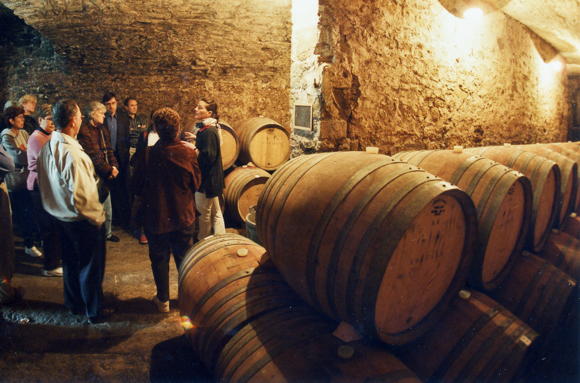 Volpaia Vineyard-002